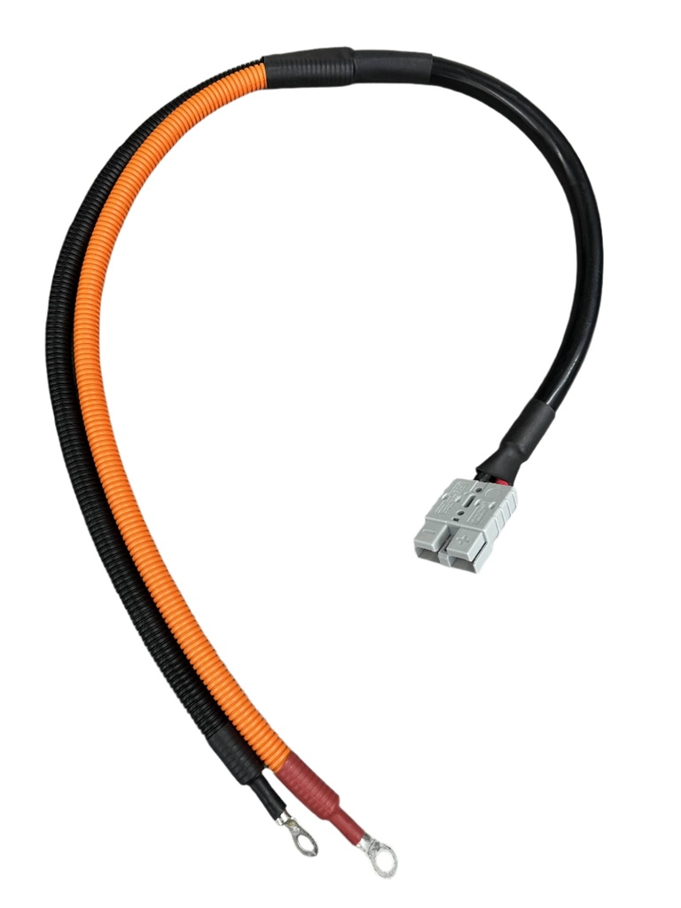 CHG-12V50A-1