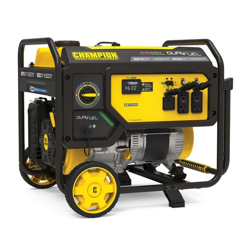 [201505] Champion 5500-Watt Dual Fuel Portable Generator with CO Shield®