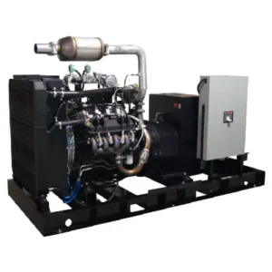 Image of Gillette 80kW Natural Gas Prime Generator Open or Enclosed Industrial Generator PR-800
