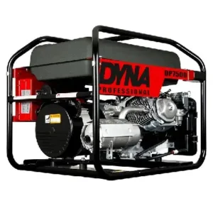 Image of Winco Portable Generators, DP5000HR-03/A 29005-006
