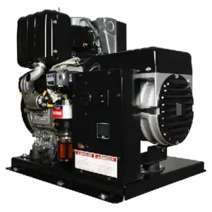 Image of Winco Portable Generators, EC6010KE-03/B 19006-000