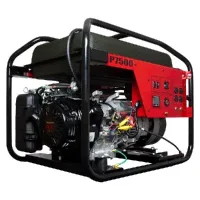 Image of Winco Portable Generators, DP7500HE-03/A 29007-002