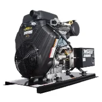 Image of Winco Portable Generators, EC18000VE/D 19018-000